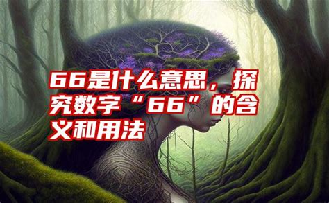 66意思|66是什么意思？